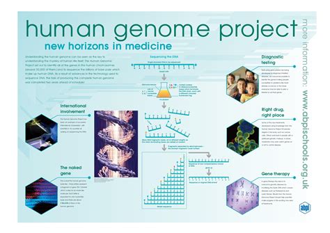 Human Genome Project Results.